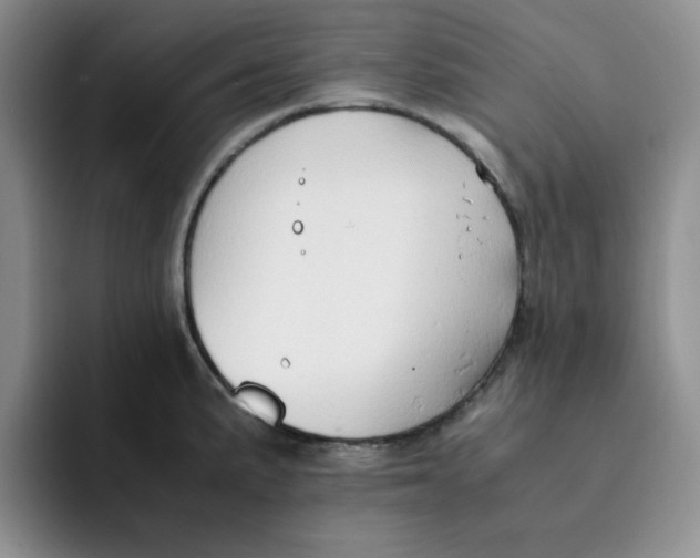 X0000091651191200709201120