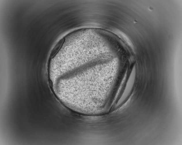 X0000091651192200709201120