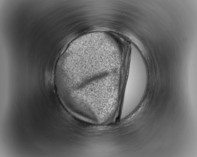 X0000091651193200709201120