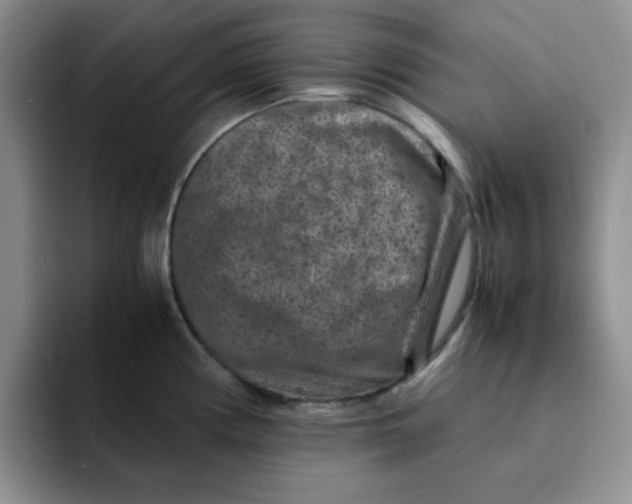 X0000091651194200709201120