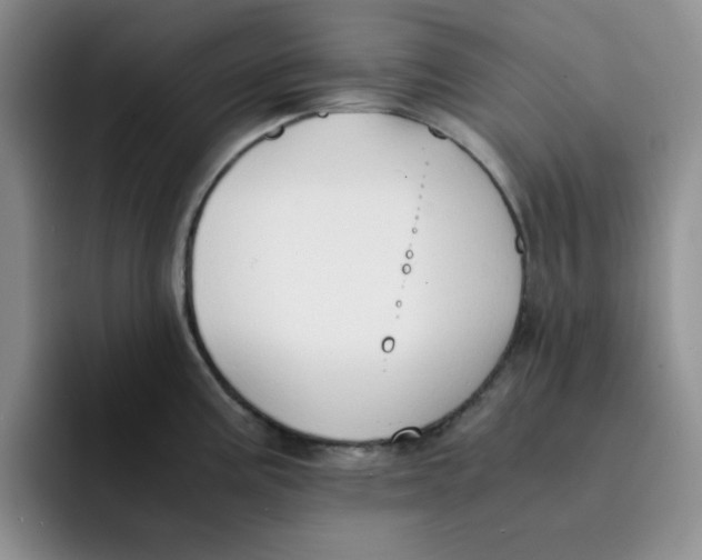 X0000091651195200709201120