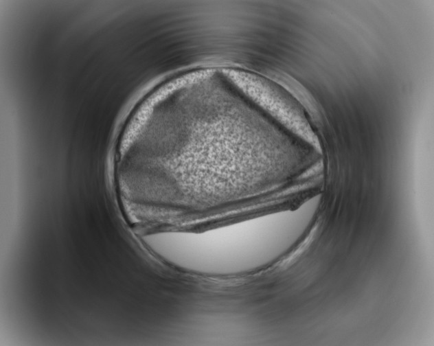 X0000091651196200709201120