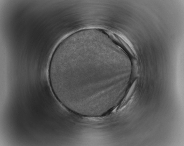 X0000091651197200709201120