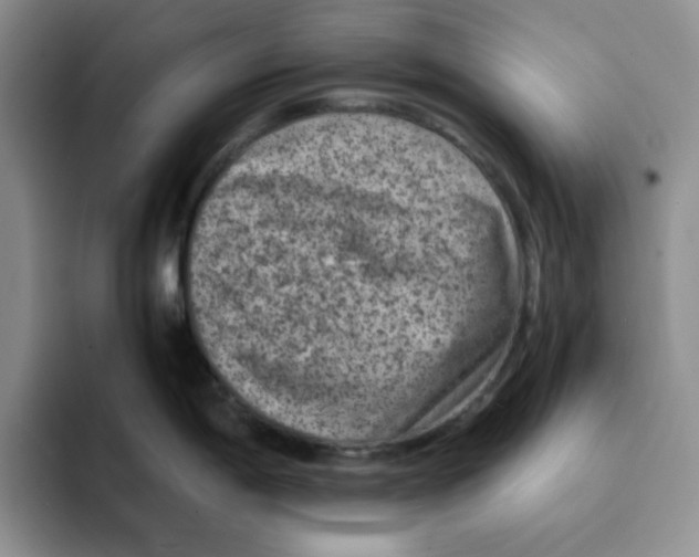 X0000091651198200709201120