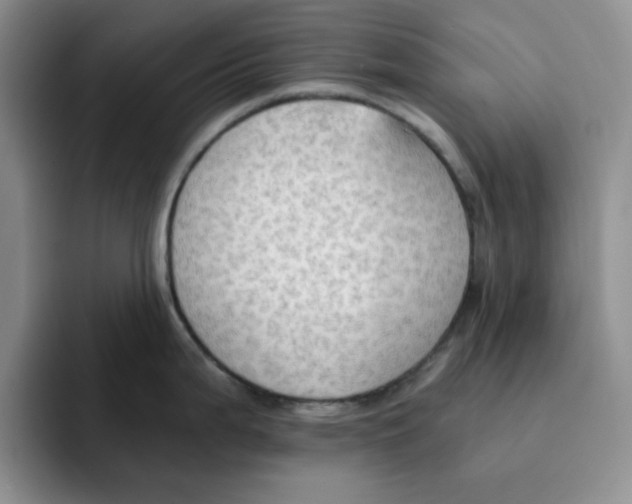 X0000091651199200709201120