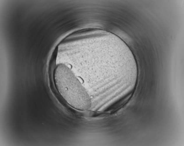 X0000091651200200709201120