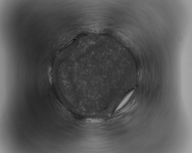 X0000091651202200709201120