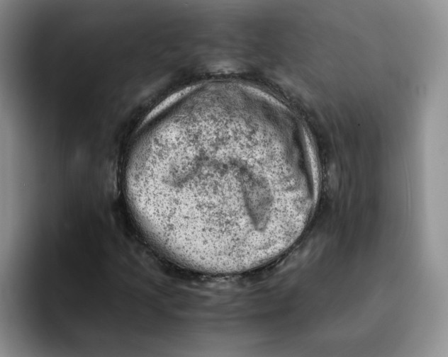 X0000091651205200709201120