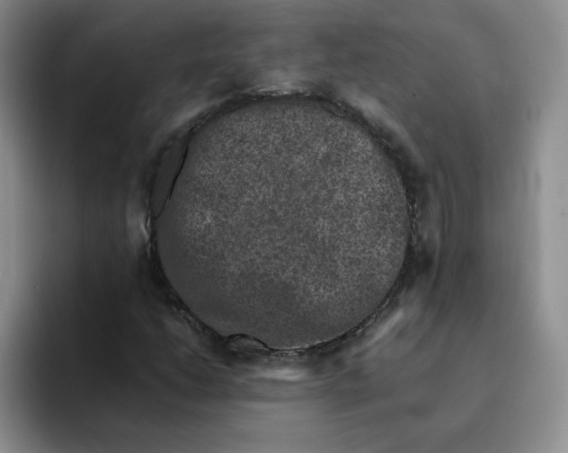 X0000091651206200709201120