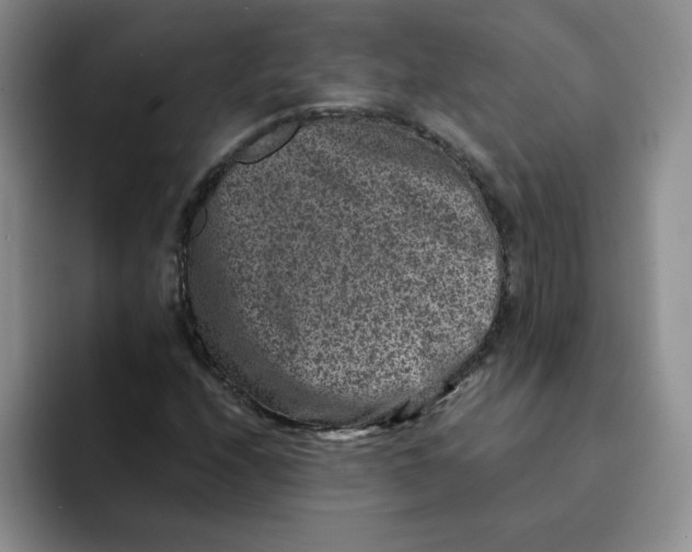 X0000091651208200709201120