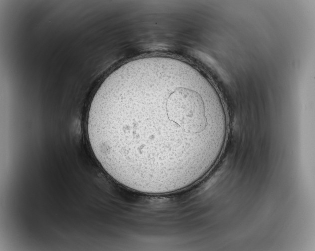 X0000091651209200709201120