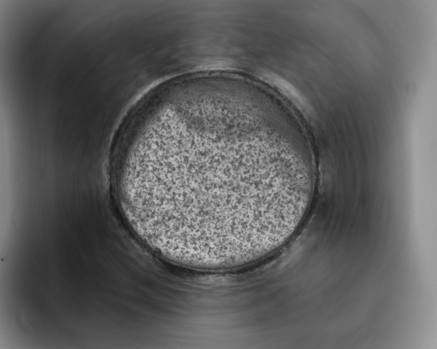 X0000091651212200709201120