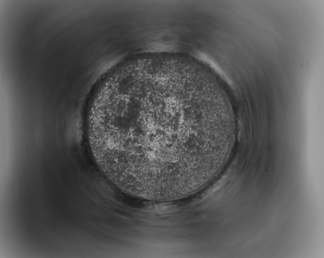 X0000091651213200709201120