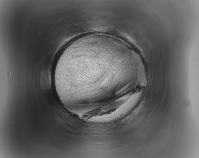 X0000091651214200709201120