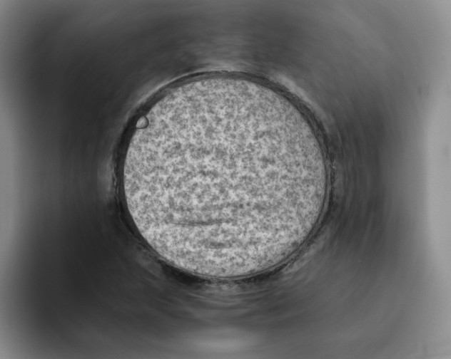 X0000091651215200709201120