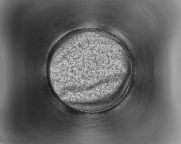 X0000091651216200709201120