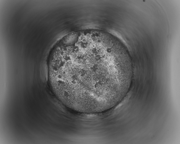 X0000091651219200709201120