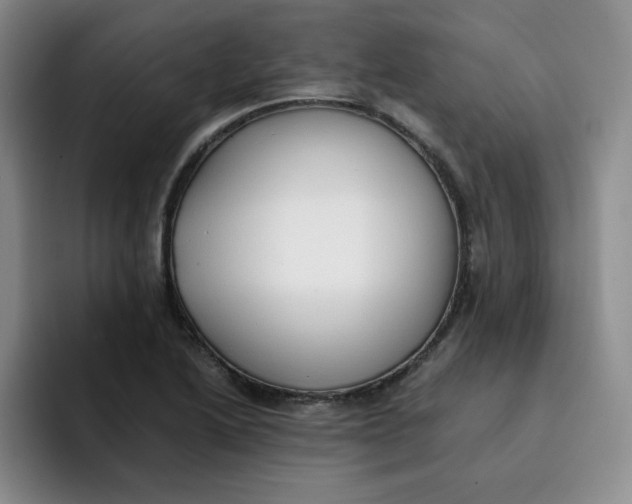 X0000091651222200709201120