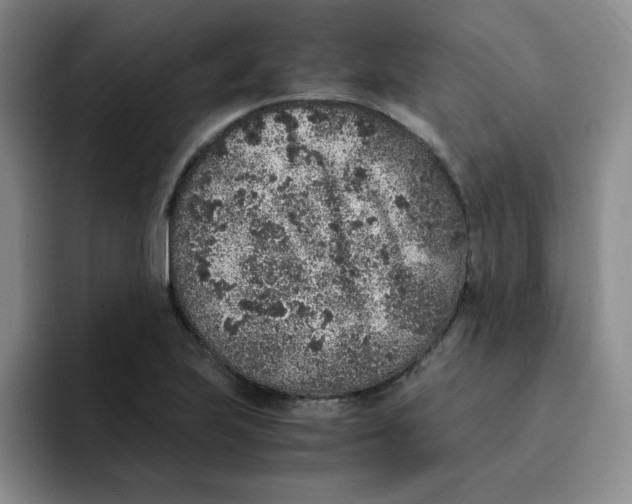 X0000091651223200709201120