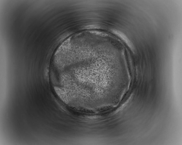 X0000091651225200709201120