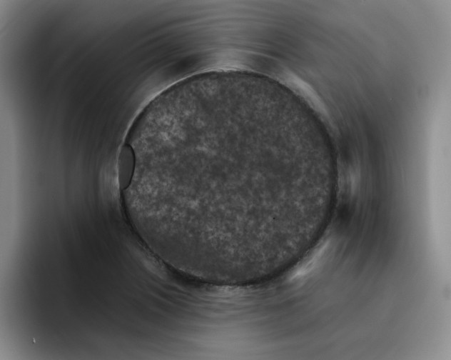 X0000091651226200709201120