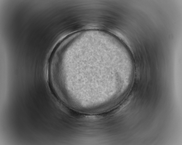 X0000091651227200709201120