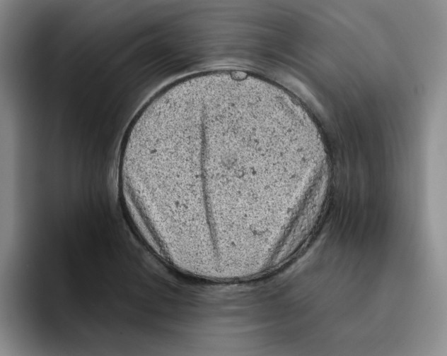 X0000091651228200709201120