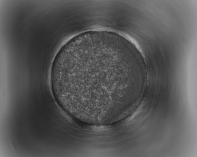 X0000091651231200709201120