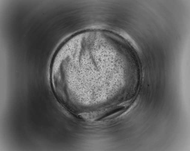 X0000091651232200709201120