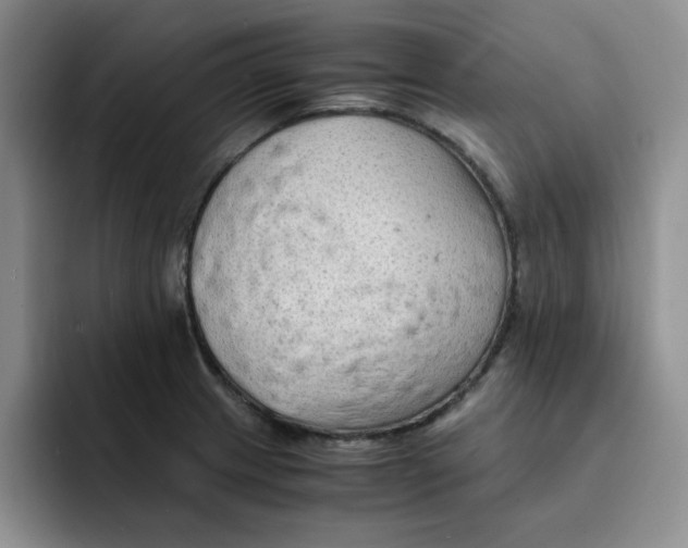 X0000091651233200709201120