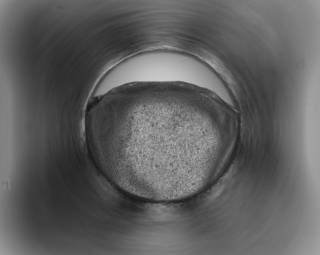 X0000091651234200709201120