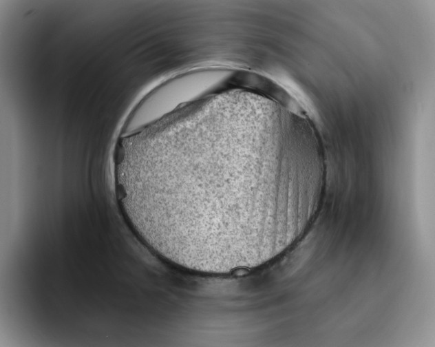 X0000091651238200709201120