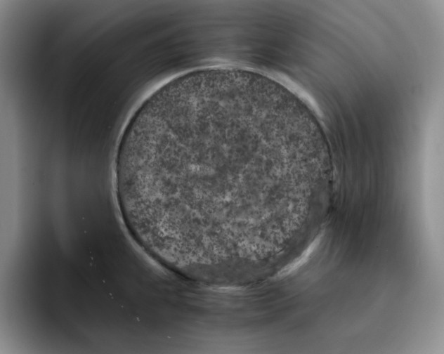 X0000091651239200709201120