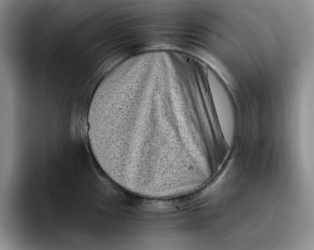 X0000091651241200709201120