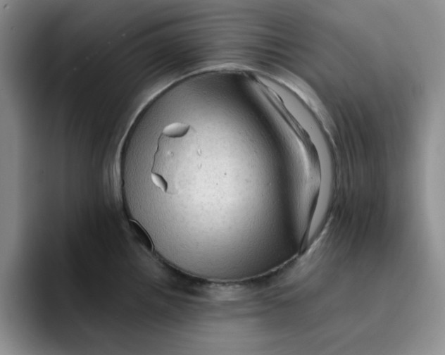 X0000091651242200709201120