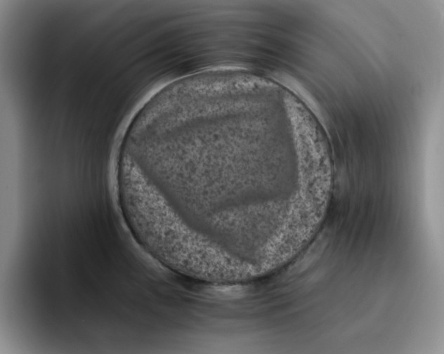 X0000091651243200709201120