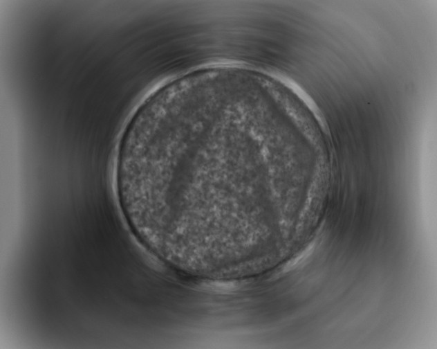 X0000091651245200709201120