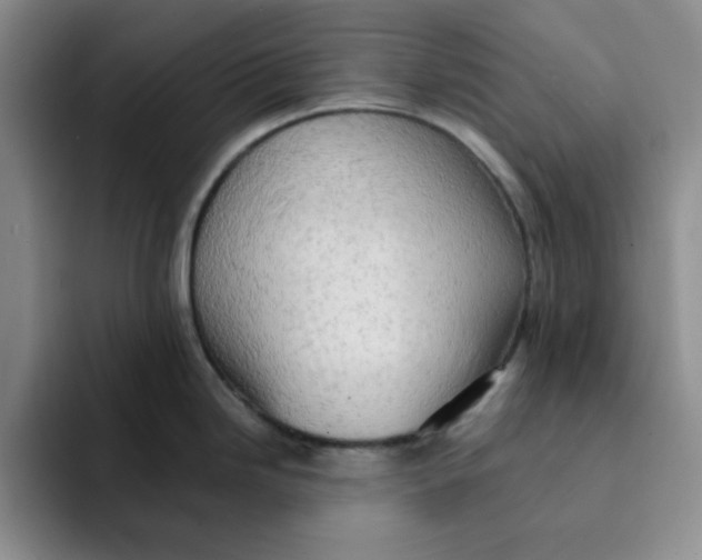 X0000091651246200709201120