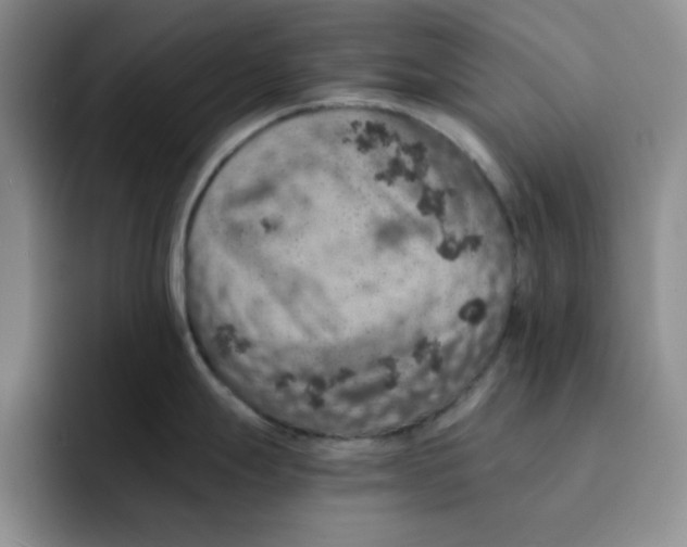 X0000091651247200709201120