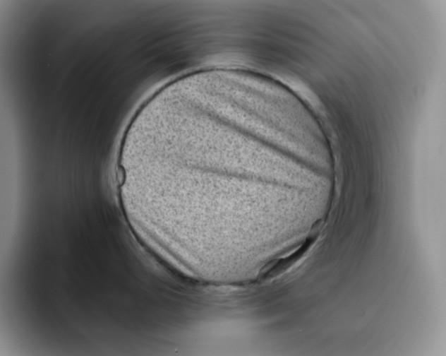 X0000091651248200709201120