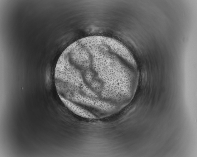 X0000091651250200709201120