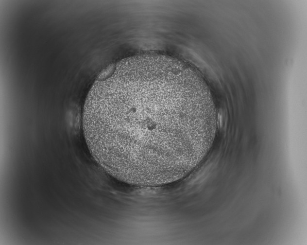 X0000091651251200709201120