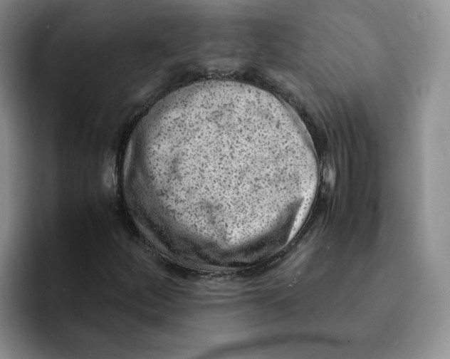 X0000091651252200709201120