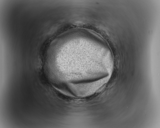 X0000091651253200709201120