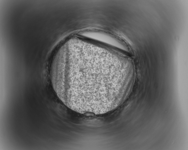 X0000091651256200709201120