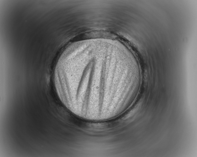 X0000091651257200709201120