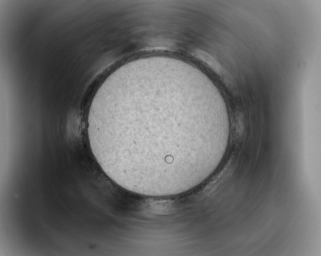 X0000091651258200709201120