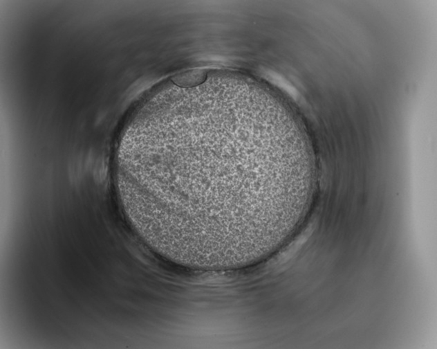 X0000091651259200709201120