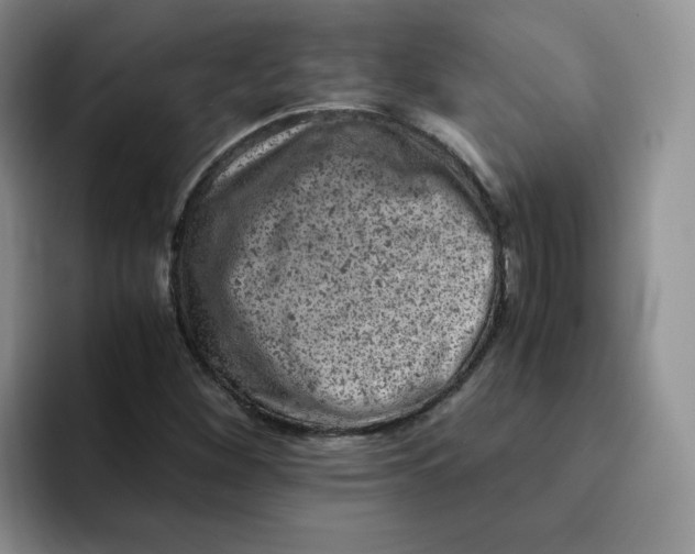 X0000091651260200709201120