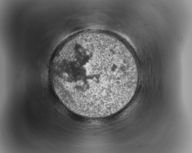 X0000091651263200709201120